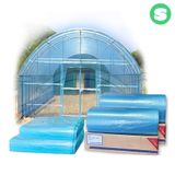 팜모닝 · 게시글 이미지