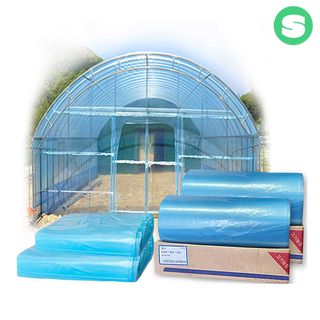 μμΈλμμ¬λμ μμ±κΈ μ¬μ§