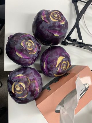 장효진님의 장터이야기 · 장터후기 작성글 사진