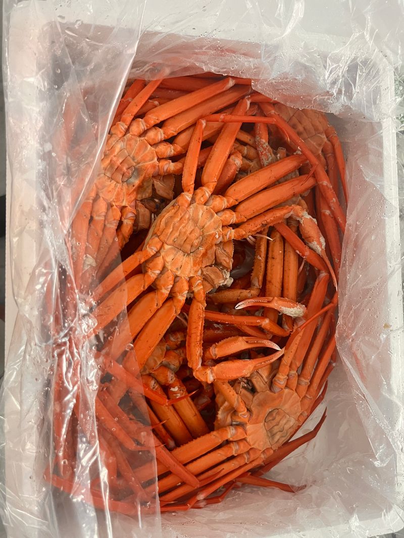 모어더더님의 장터 판매 상품 [품질보장  무료배송 포항 구룡포 홍게 수율80%] 첨부 사진