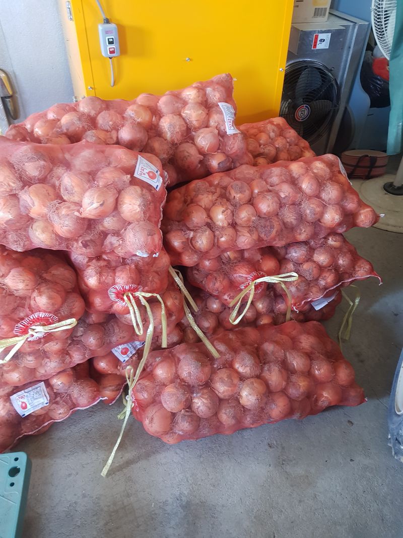 장터 상품 [양파 15키로] 썸네일