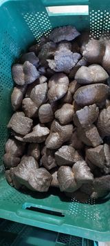 팜모닝 · 게시글 이미지