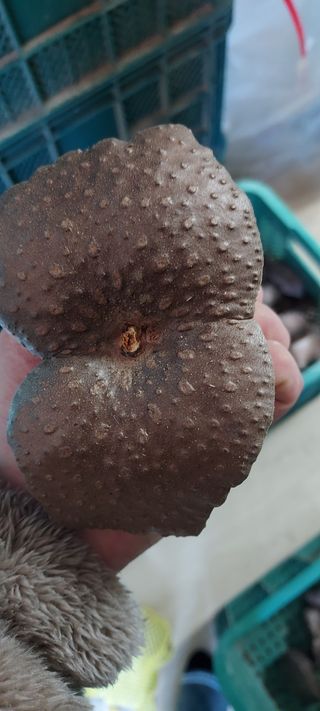 김영진(전남영광)님의 작성글 사진