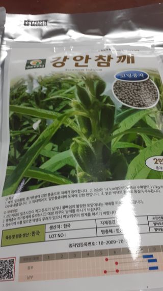 송광만님의 참깨 · 자유게시판 작성글 사진