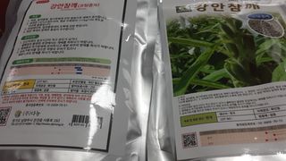 송광만님의 참깨 · 자유게시판 작성글 사진