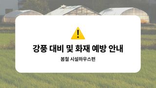 팜모닝 농사도우미님의 토마토·자연재해•동물피해 작성글 사진