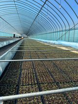 팜모닝 · 게시글 이미지