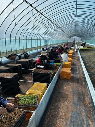 김성미님의 작성글 사진