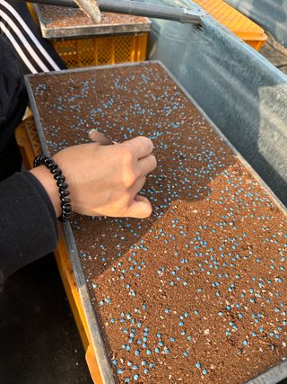 김성미님의 작성글 사진