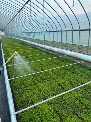 김성미님의 작성글 사진