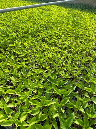 김성미님의 작성글 사진