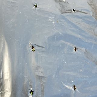 봉덕팜님의 기타작물 · 자유게시판 작성글 사진