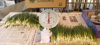 전원생활의여유님의 작성글 사진