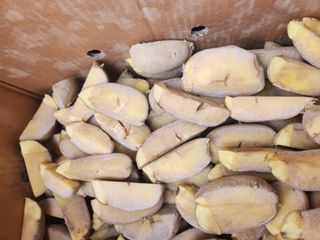 이대주님의 감자 · 자유게시판 작성글 사진