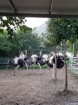 팜모닝 · 게시글 이미지