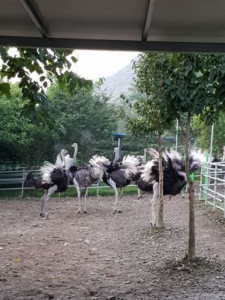 도울농장 이원용님의 작성글 사진