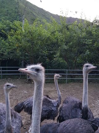 도울농장 이원용님의 작성글 사진