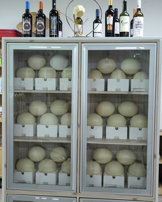 도울농장 이원용님의 작성글 사진