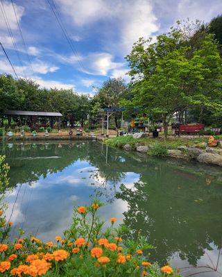 도울농장 이원용님의 작성글 사진