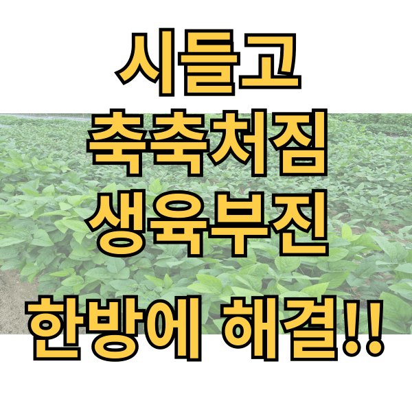 대산농사대장님의 장터 판매 상품 [쑥쑥 식물성장 촉진제] 첨부 사진