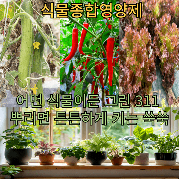 대산농사대장님의 장터 판매 상품 [쑥쑥 식물성장 촉진제] 첨부 사진