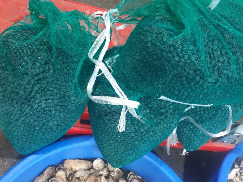 장터 상품 [건강식 미숫가루 판매(농산물교환)] 썸네일