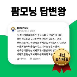 답변왕 선발대회님의 자유주제 · 자유게시판 작성글 사진