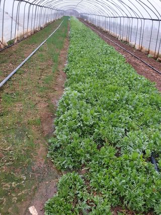 김화연님의 기타작물 · 자유게시판 작성글 사진