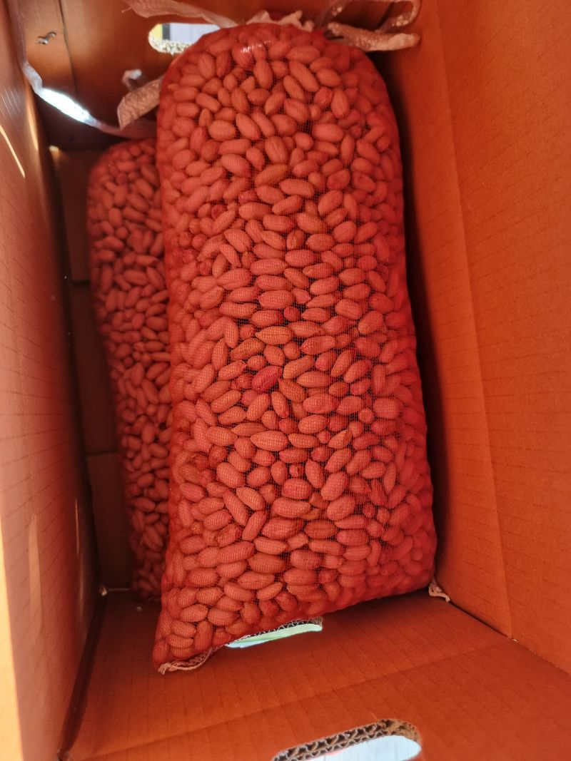 최재혁님의 장터 판매 상품 [여주 땅콩 ] 첨부 사진