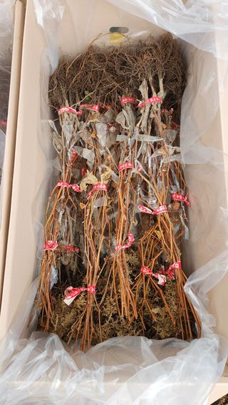 도기백님의 포도 · 자유게시판 작성글 사진