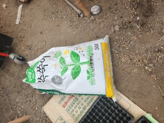 김찬우님의 옥수수 · 자유게시판 작성글 사진