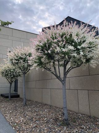 상호현님의 작성글 사진