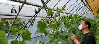 백승현님의 오이 · 자유게시판 작성글 사진