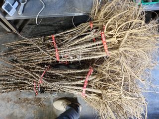 행복한나무농장님의 작성글 사진