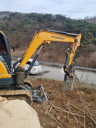 이호성님의 두릅 · 품종•종자 작성글 사진