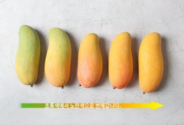 써니네님의 장터 판매 상품 [무지개망고 30.900원 ] 첨부 사진