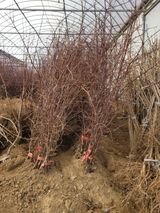 팜모닝 기타작물·자유게시판 게시글 이미지