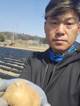 팜모닝 감자·자유게시판 게시글 이미지