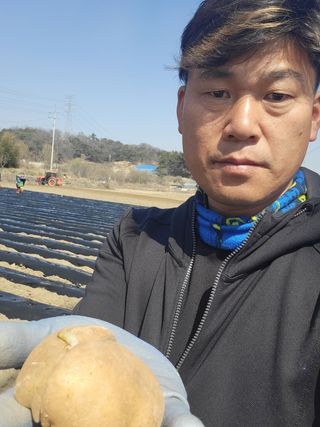 조범호님의 감자 · 자유게시판 작성글 사진