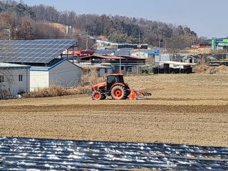 조범호님의 감자 · 자유게시판 작성글 사진