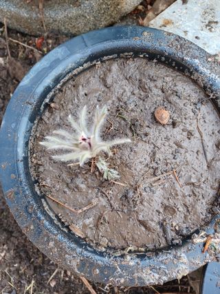 알 수 없음님의 기타작물 · 자유게시판 작성글 사진