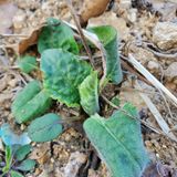 팜모닝 기타작물·자유게시판 게시글 이미지