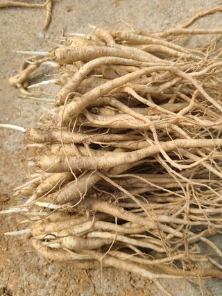 전재문님의 작성글 사진