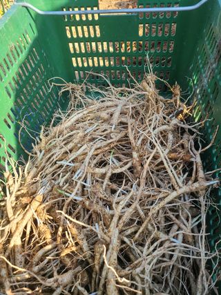 전재문님의 작성글 사진