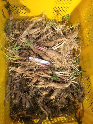 전재문님의 작성글 사진