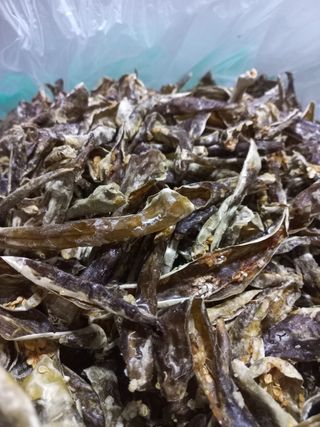 강정순님의 작성글 사진