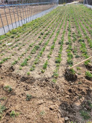 조일현님의 작성글 사진