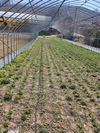 조일현님의 작성글 사진