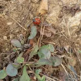 팜모닝 참깨·자유게시판 게시글 이미지