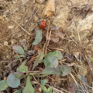 장만월님의 참깨 · 자유게시판 작성글 사진